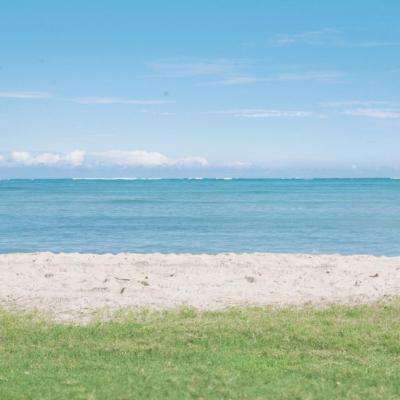 开云网kaiyun下载手机版