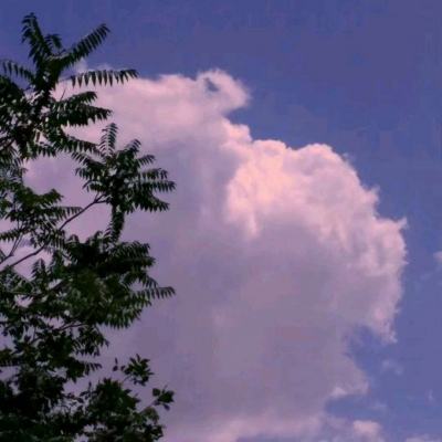 彩神lllv入口app下载