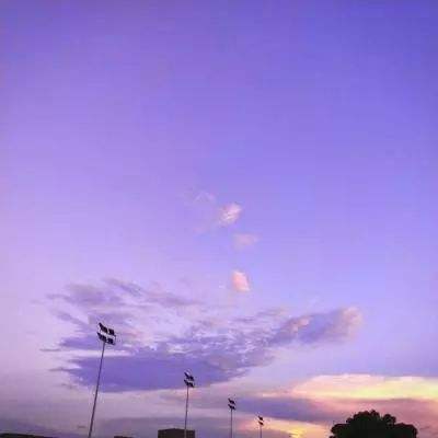 b体育官方入口在线登录网站