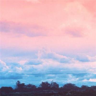 42982金牛网论坛app下载