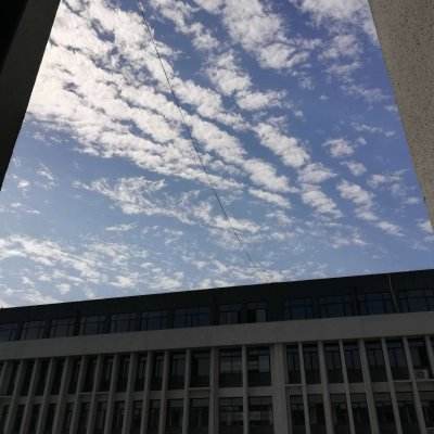 澳门新葡澳京手机app下载